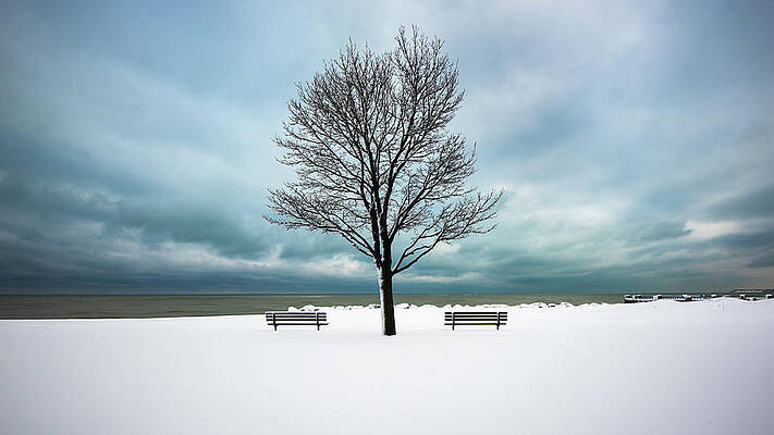 Room for a View by Josh Eral Room for a View by Josh Eral