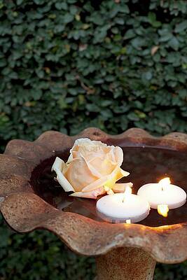 Floating candle and flowers Photograph by Lana Malamatidi - Fine Art America