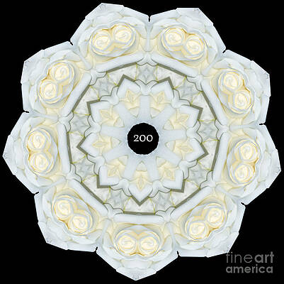 Rose Flower Temple, No. 1 by Baha'i Writings As Art Rose Flower Temple, No. 1 by Baha'i Writings As Art