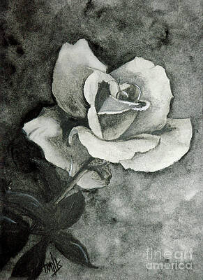 Rose4 by Terri Mills Rose4 by Terri Mills