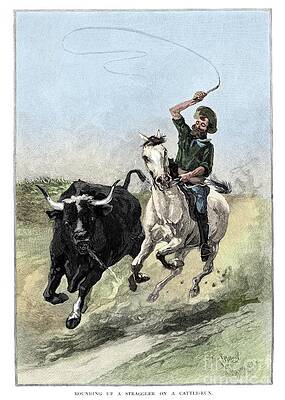 Wall Art - Drawing - Rounding Up A Straggler On A Cattle Run by Print Collector