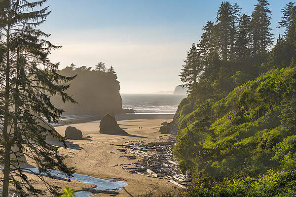 Wall Art - Photograph - Ruby Beach In Olympic National Park by Sean Pavone
