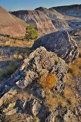Wall Art - Photograph - Ruby Mountain 10 by Ray Mathis