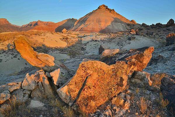 Wall Art - Photograph - Ruby Mountain 7 by Ray Mathis