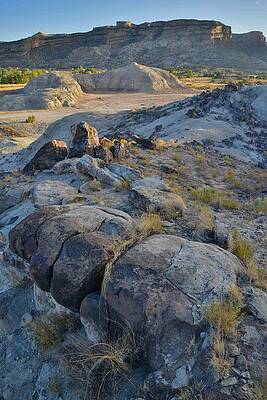 Wall Art - Photograph - Ruby Mountain 9 by Ray Mathis
