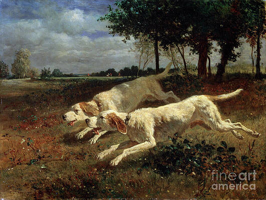 Wall Art - Drawing - Running Dogs, 1853. Artist Constant by Heritage Images