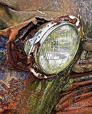 Rusty 22 by Tom Griffithe Rusty 22 by Tom Griffithe