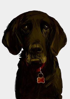 Sad Dog by John Poh