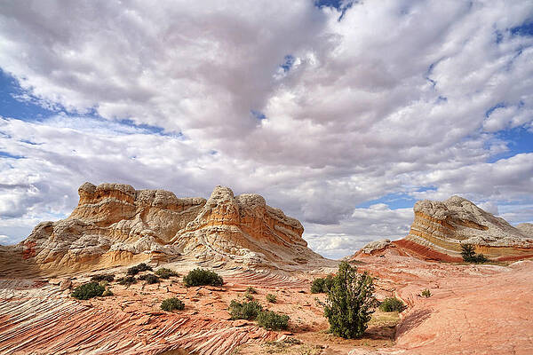 Wall Art - Photograph - Sandstone Architecture by Leda Robertson