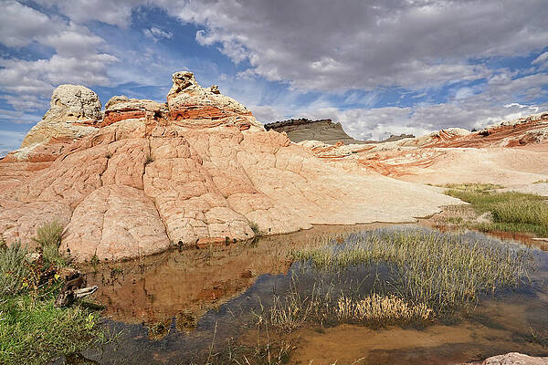 Wall Art - Photograph - Sandstone Structures Reflected by Leda Robertson
