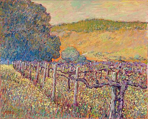Sangiovese In The Mustard by Tom Pittard Sangiovese In The Mustard by Tom Pittard
