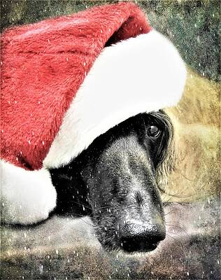 Santa Baby by Diane Chandler Santa Baby by Diane Chandler