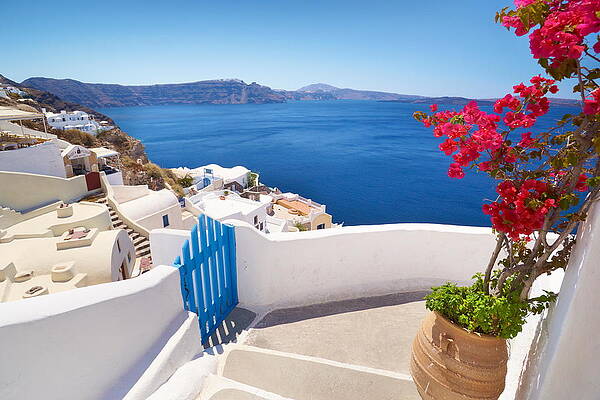 Santorini Landscape With Blooming Print
