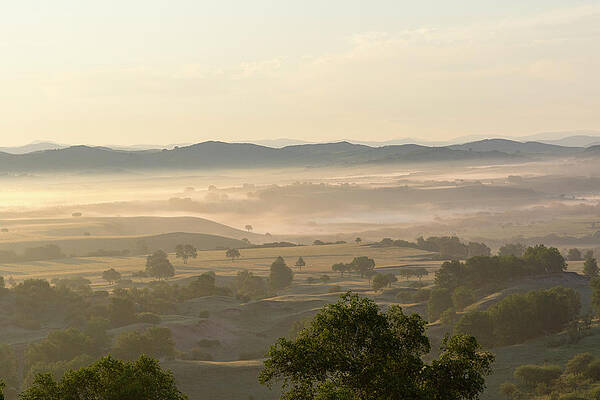 Wall Art - Photograph - Scattered Trees And Grassland In Hilly Landscape, In by Sylvain Cordier / Naturepl.com