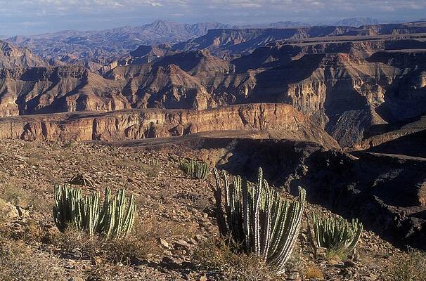 Wall Art - Photograph - Scene, Fish River Canyon. Namibia by Roger De La Harpe
