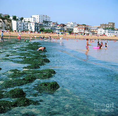 Wall Art - Photograph - Sea Shore With Floating Algae by Science Photo Library