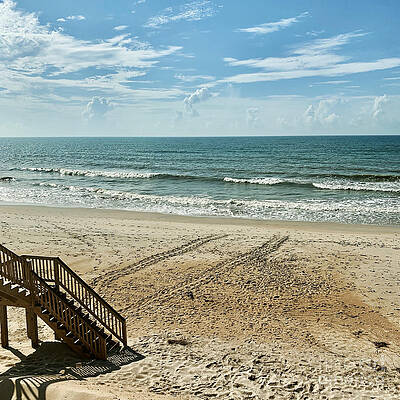 Wall Art - Photograph - Sea Turtle Tracks Surf City Topsail Island N by Flippin Sweet Gear