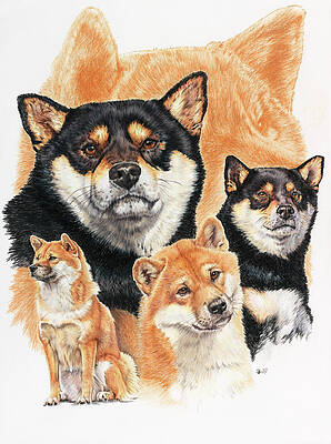 Ghost Dog Paintings Fine Art America