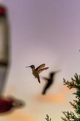Wall Art - Photograph - Shift Change by Peter Hull