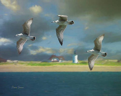 Shoreline Travel Seagulls Painting by Dawn Gemme