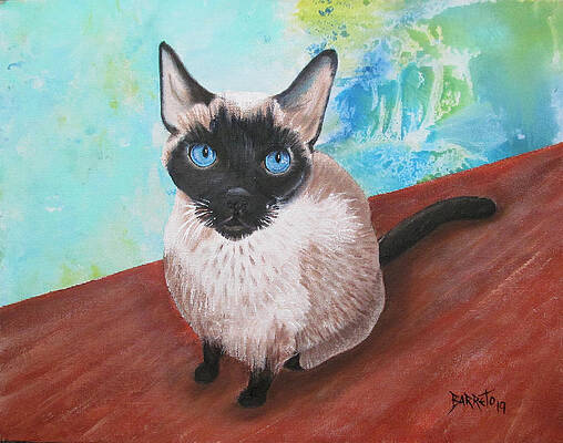 Siamese Cat by Gloria E Barreto-Rodriguez Siamese Cat by Gloria E Barreto-Rodriguez
