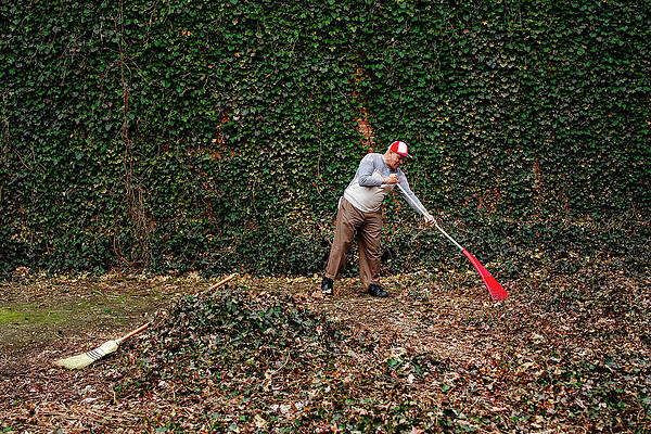 Wall Art - Photograph - Side View Of A Senior Man Carrying A Red Rake In Front Of An Ivy Wall by Cavan Images