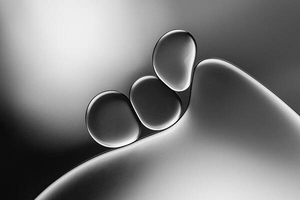 Abstract Still Life Photographs Fine Art America