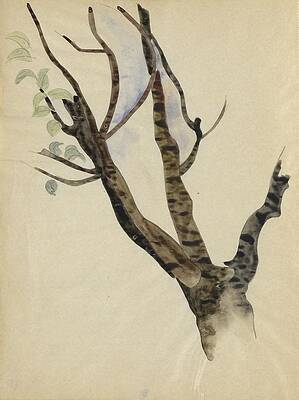Wall Art - Painting - Sketchbook; 36 Pages Total, Containing 28 Sketches by Charles Demuth