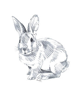 62800 Easter Drawings Illustrations RoyaltyFree Vector Graphics  Clip  Art  iStock