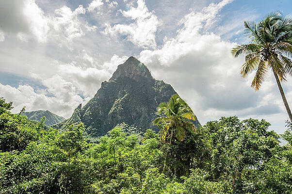 SKULL MOUNTAIN by Charles McCleanon SKULL MOUNTAIN by Charles McCleanon