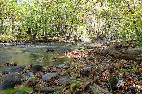 Wall Art - Photograph - Smoky Mountin Stream by Joe Leone