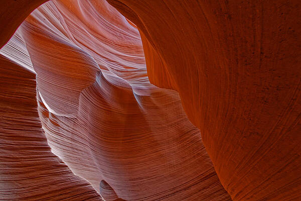 Wall Art - Photograph - Smooth Pattern by Jonathan Davison