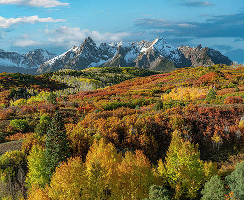 Wall Art - Photograph - Sneffles Range From Dallas Divide by Tim Fitzharris