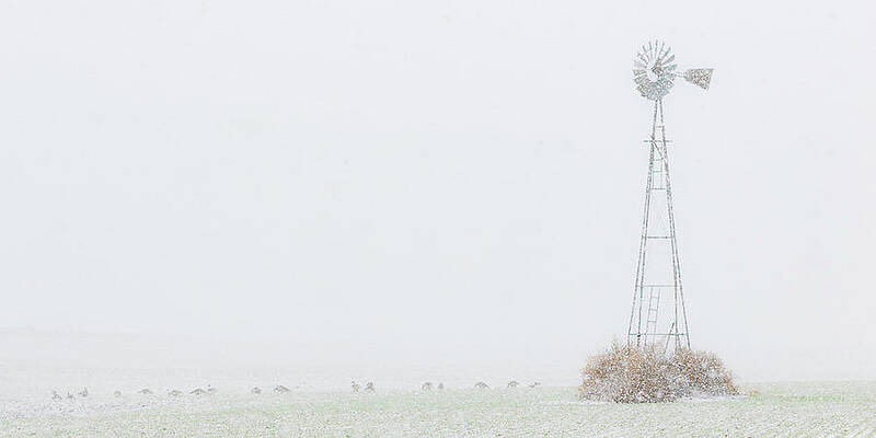 Wall Art - Photograph - Snow and Windmill 01 by Rob Graham