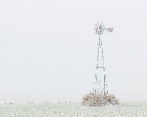 Wall Art - Photograph - Snow and Windmill 02 by Rob Graham