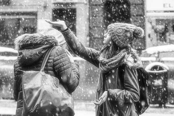 Wall Art - Photograph - Snow Falling On The Palm by Eiji Yamamoto