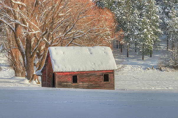 Snow on an abandoned building in Idaho by Jim Crowder