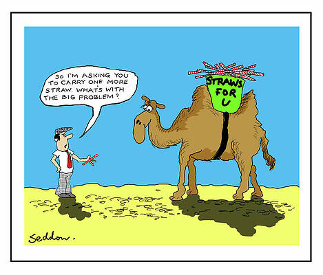 Wall Art - Drawing - So I`m Asking You To Carry One More Straw. What`s With by Mike Seddon