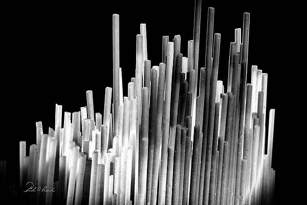 Solarized Pasta # 5 by Frederic A Reinecke Solarized Pasta # 5 by Frederic A Reinecke