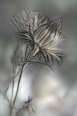 Wall Art - Photograph - Source Of Life by Gilbert Claes