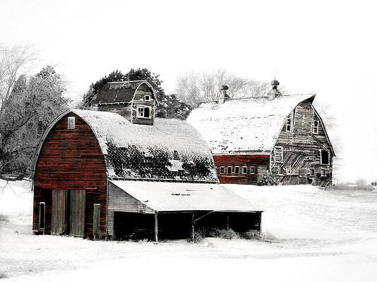 South Dakota Farm by Julie Hamilton South Dakota Farm by Julie Hamilton