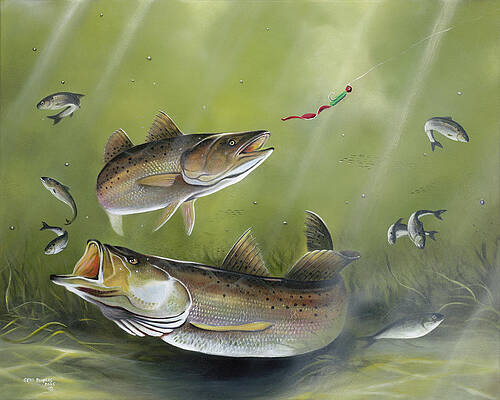 Speckled Trout Paintings for Sale - Fine Art America