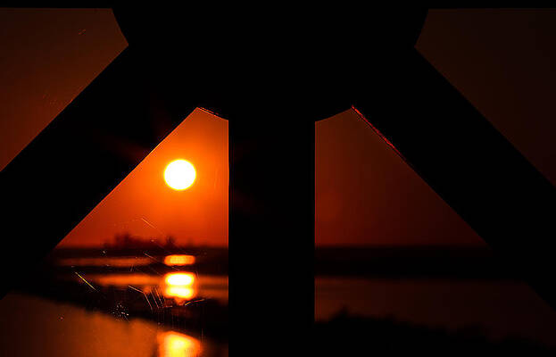 Wall Art - Photograph - Spiderweb View by Peter Hull