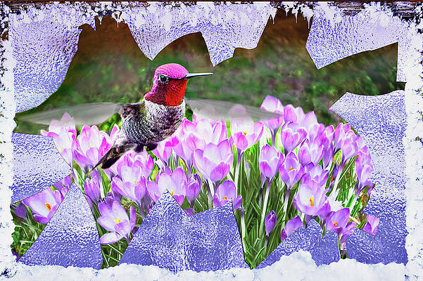 Wall Art - Digital Art - Spring Breaks Through by John Christopher