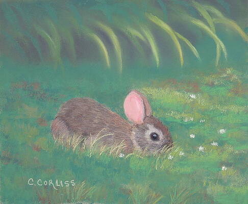 Spring Clover by Carol Corliss Spring Clover by Carol Corliss