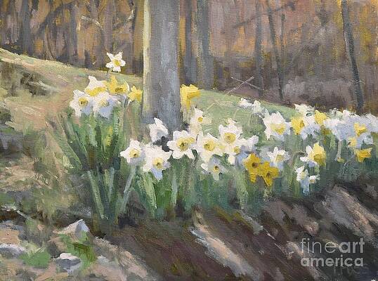 Spring Daffodils by Tiffany Foss Spring Daffodils by Tiffany Foss