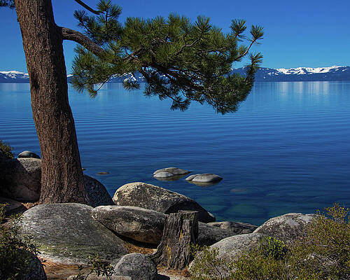 Spring Day @ Tahoe by Robin Valentine Spring Day @ Tahoe by Robin Valentine