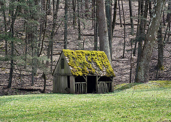 Spring by Paul Ross Spring by Paul Ross