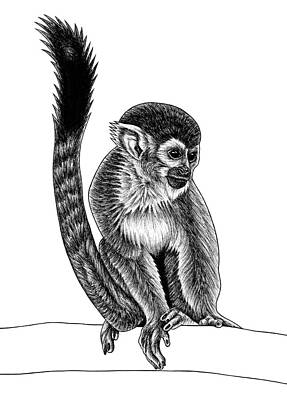 Wall Art - Drawing - Squirrel monkey - ink illustration by Loren Dowding