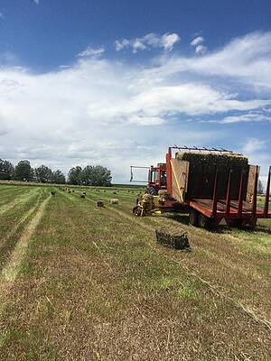 Stacking Hay Under the Clouds by Steve Kattnig